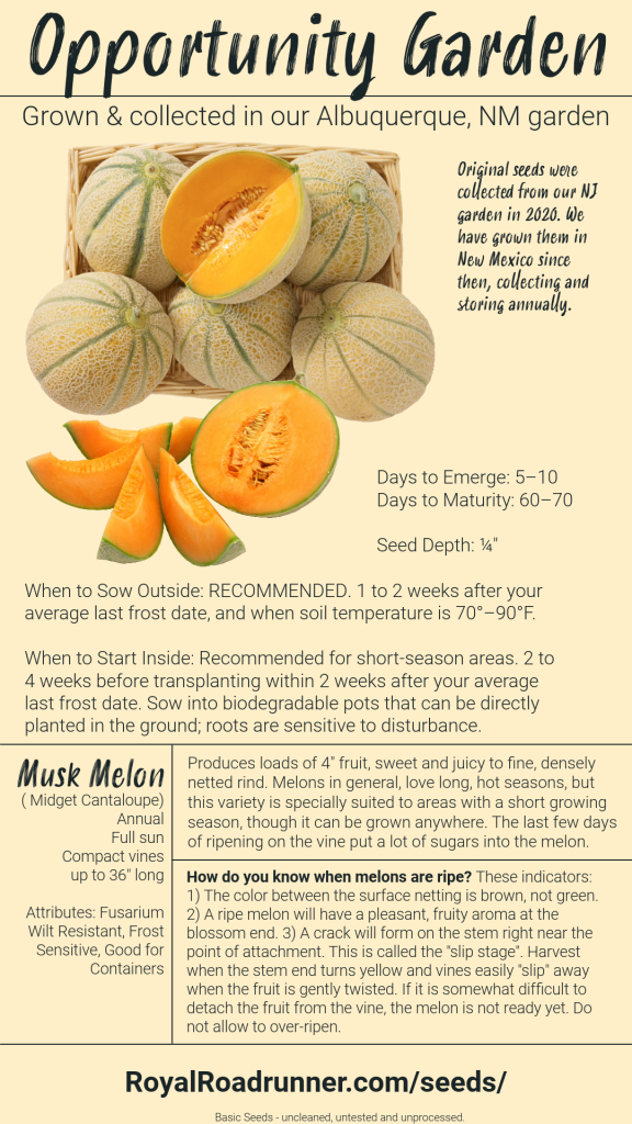 Musk Melon Seeds, Cantaloupes